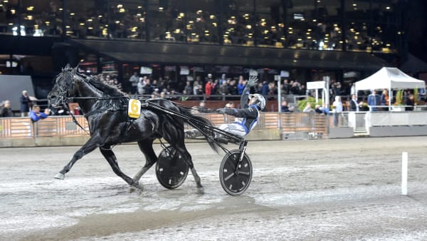 Foto: LARS JAKOBSSON / TR BILD