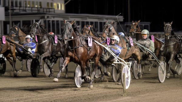 Foto: LARS JAKOBSSON / TR BILD