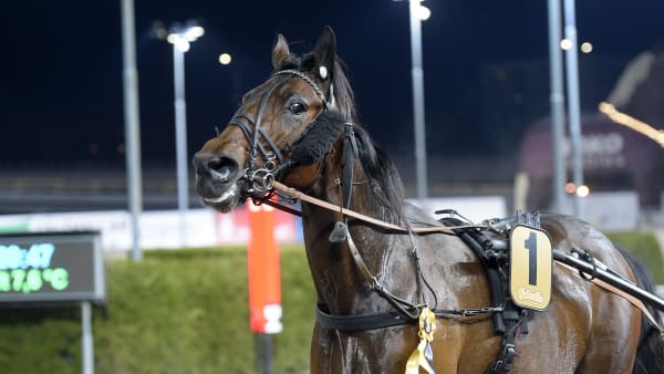 Foto: LARS JAKOBSSON / TR BILD