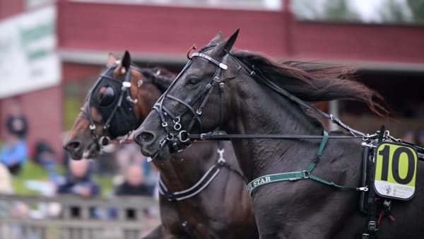 Foto: LARS JAKOBSSON / TR BILD