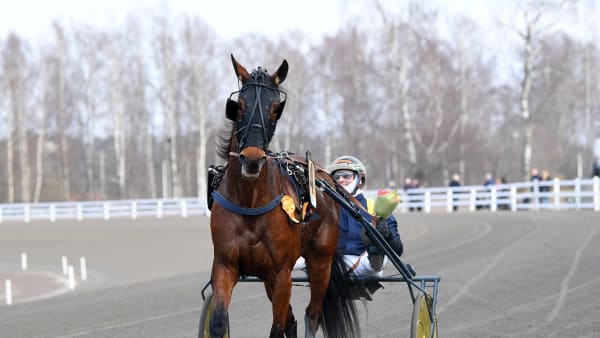 Foto: MALIN ALBINSSON / TR BILD