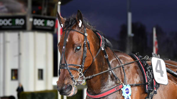 Foto: MALIN ALBINSSON/TR BILD