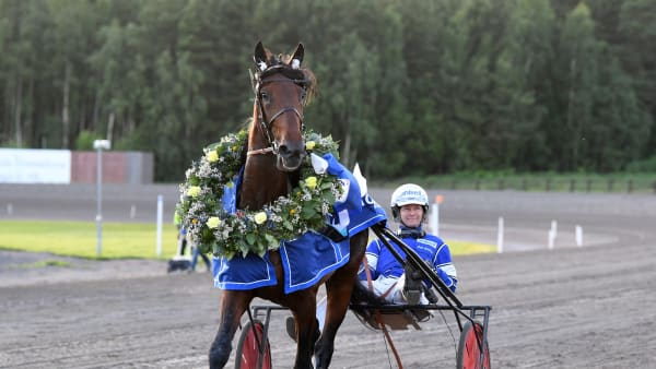 Foto: MALIN ALBINSSON / TR BILD