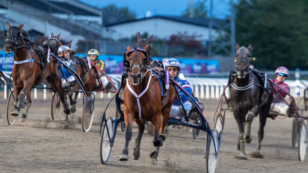 Foto: MIKAEL ROSENQUIST / TR BILD