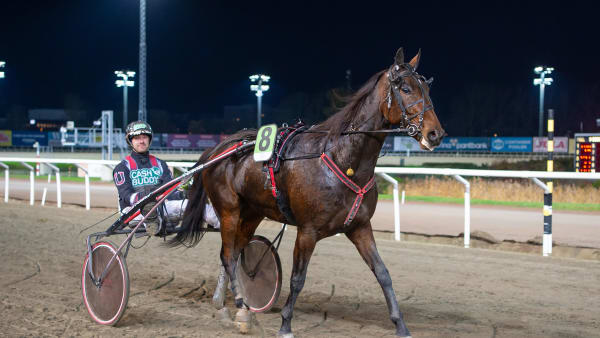 Foto: MIKAEL ROSENQUIST / TR BILD
