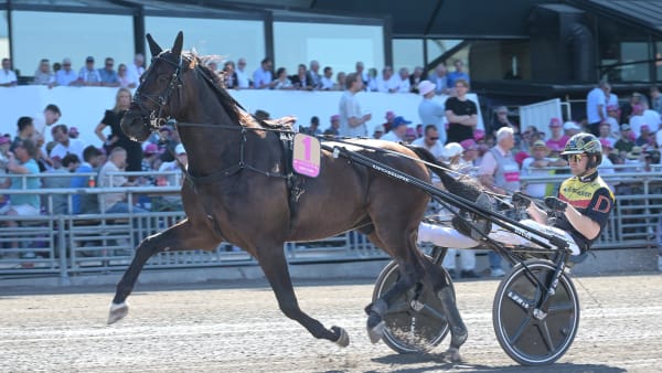 Foto: LARS JAKOBSSON/TR BILD
