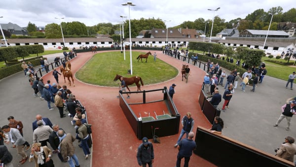 Foto: MARIA HOLMÉN / TR BILD