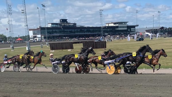 Foto: ANDREAS JÖNSSON/TR BILD