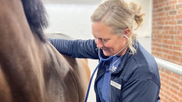 Foto: Elisabeth Frisch