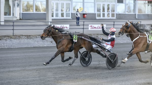 Foto: JENNY REHNMAN / TR BILD