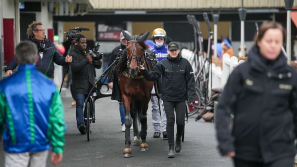 Foto: THOMAS BLOMQVIST / TR BILD