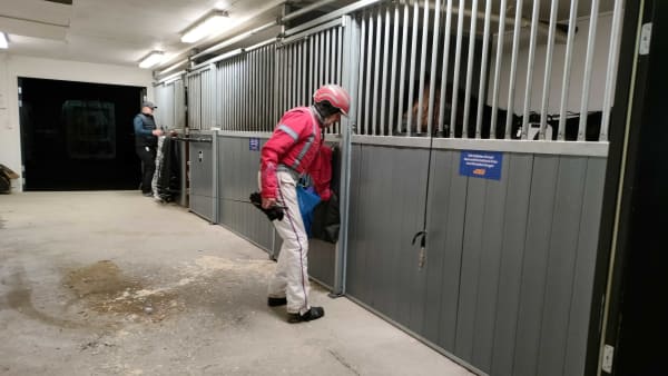 Foto: Lucas Ericsson/TR Bild.