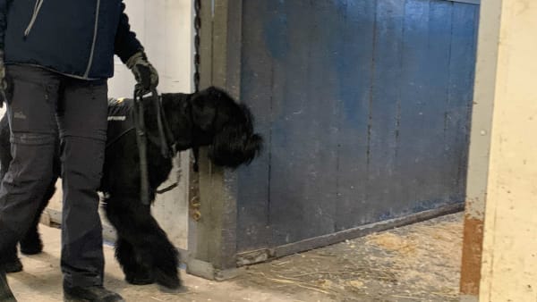 Foto: DENNIS ENGELBO/TR BILD