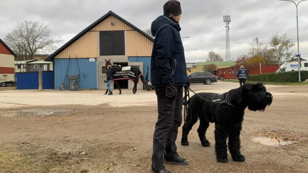 Foto: DENNIS ENGELBO/TR BILD