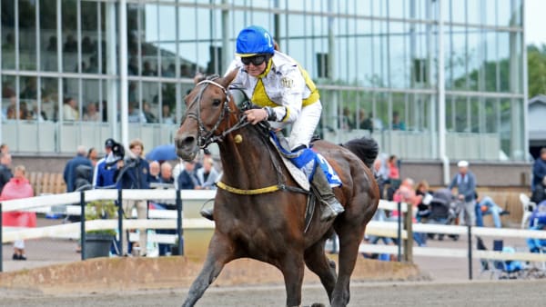 Foto: MALIN ALBINSSON / TR BILD