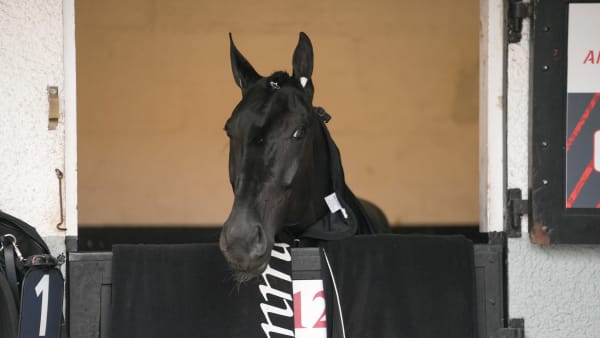 Foto: THOMAS BLOMQVIST/TR BILD