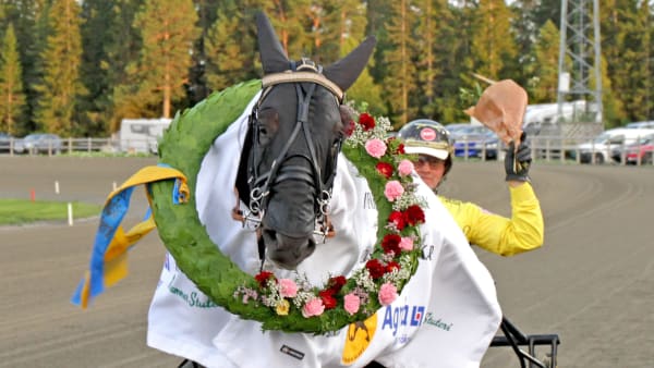 Foto: TOM JÖNEHAG/TR BILD