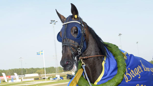 Foto: LARS JAKOBSSON / TR BILD