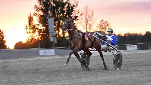 Foto: LARS JAKOBSSON / TR BILD