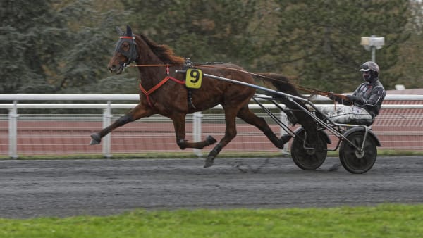 Foto: Le Trot