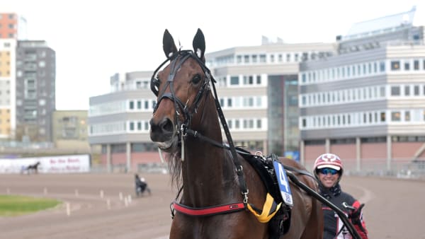 Foto: LARS JAKOBSSON / TR BILD