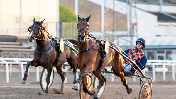 Foto: MIKAEL ROSENQUIST / TR BILD