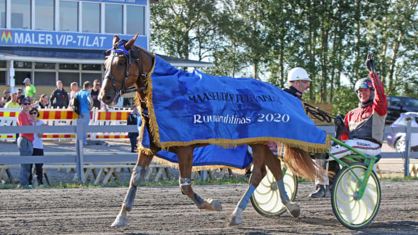 Foto: Suvi Hakkarainen/Hippos