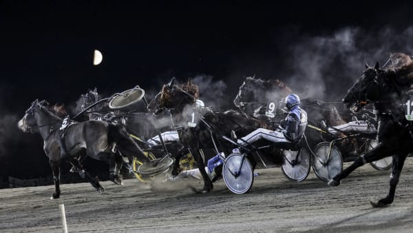 Foto: LENA EMMOTH / TR BILD