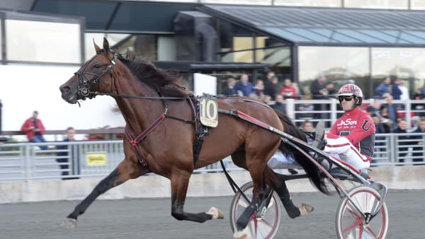 Foto: LARS JAKOBSSON / TR BILD