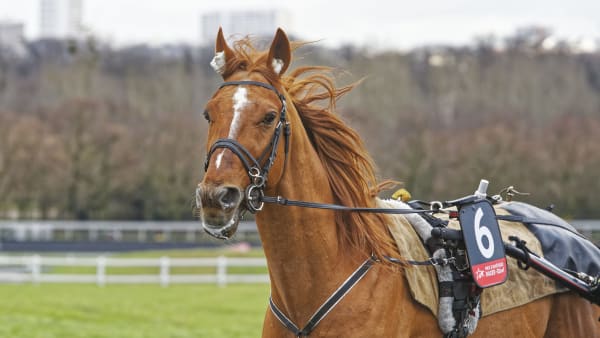 Foto: Jean-Luc Lamaère-LeTROT