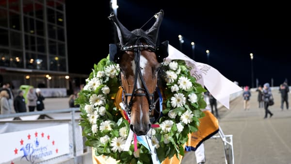 Foto: LARS JAKOBSSON / TR BILD