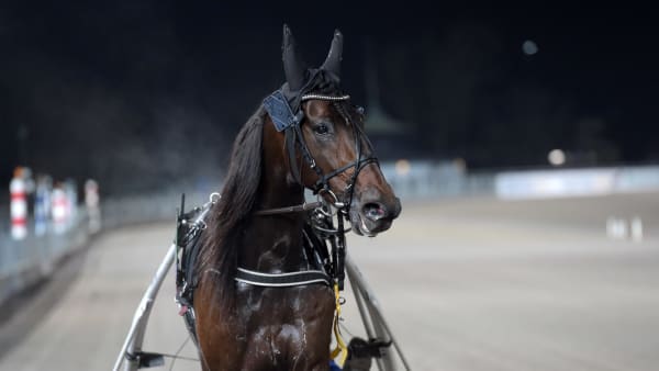 Foto: LARS JAKOBSSON / TR BILD