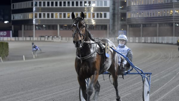 Foto: LARS JAKOBSSON / TR BILD