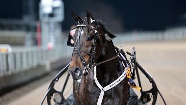 Foto: LARS JAKOBSSON / TR BILD