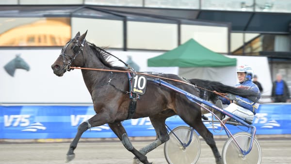 Foto: LARS JAKOBSSON / TR BILD