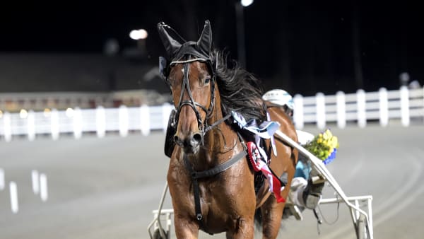 Foto: LARS JAKOBSSON / TR BILD