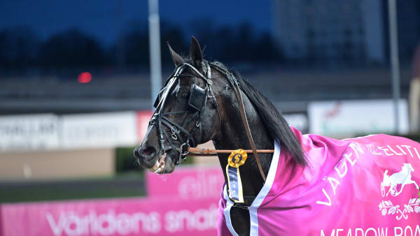 Foto: LARS JAKOBSSON / TR BILD