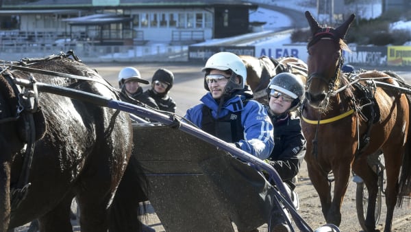 Foto: LARS JAKOBSSON / TR BILD