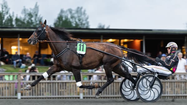 Foto: LENA EMMOTH / TR BILD