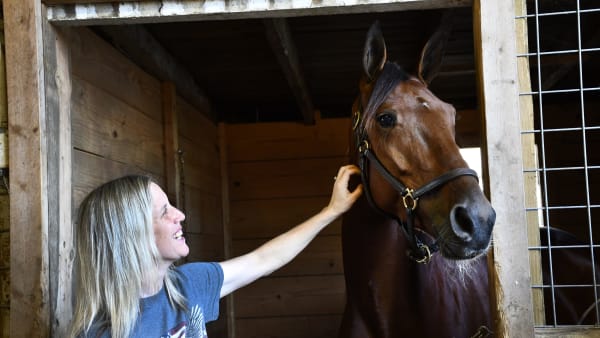 Foto: ELIN GUSTAFSSON