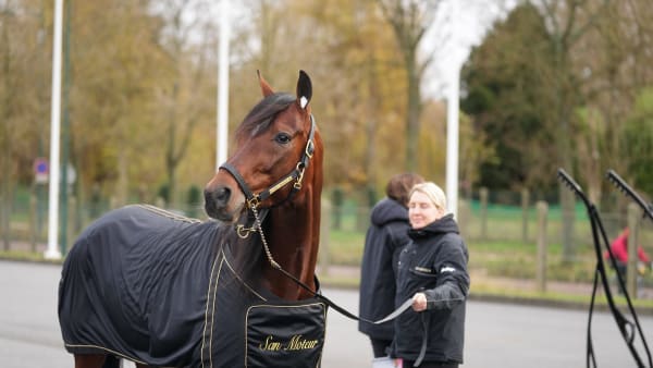 Foto: THOMAS BLOMQVIST / TR BILD