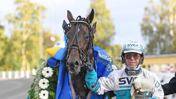 Foto: MALIN ALBINSSON / TR BILD