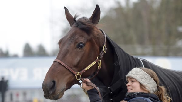 Foto: LARS JAKOBSSON / TR BILD