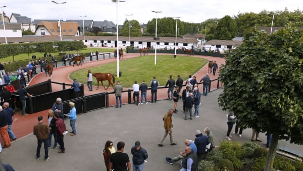 Foto: MARIA HOLMÉN / TR BILD