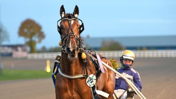 Foto: LARS JAKOBSSON / TR BILD