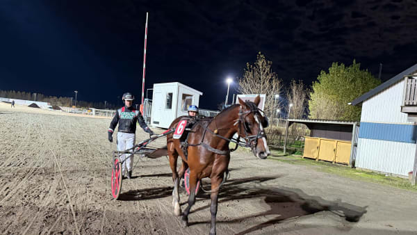 Foto: Rickard Hansson/TR Bild.