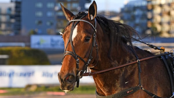 Foto: MALIN ALBINSSON / TR BILD