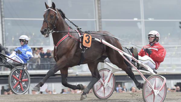 Foto: LARS JAKOBSSON / TR BILD