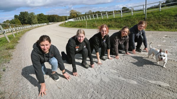 Foto: MARIA HOLMÉN / TR BILD