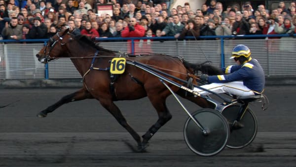 Foto: STALLTZ.SE